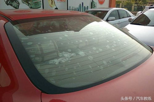 汽车窗贴价格多少